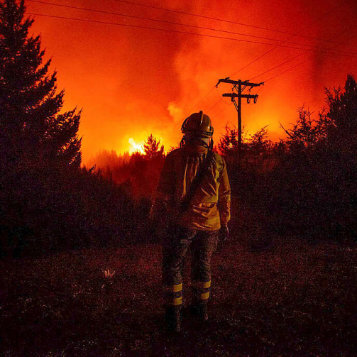 Los incendios forestales en Neuquén, Río Negro y Chubut afectan seriamente a dos Parques Nacionales y ya arrasaron más de 37.000 hectáreas de bosques y viviendas, una superficie equivalente a dos veces el tamaño la ciudad de Buenos Aires. Greenpeace reclama más prevención, brigadistas e infraestructura para respuesta rápida, y penalizar tanto incendios como desmontes.
