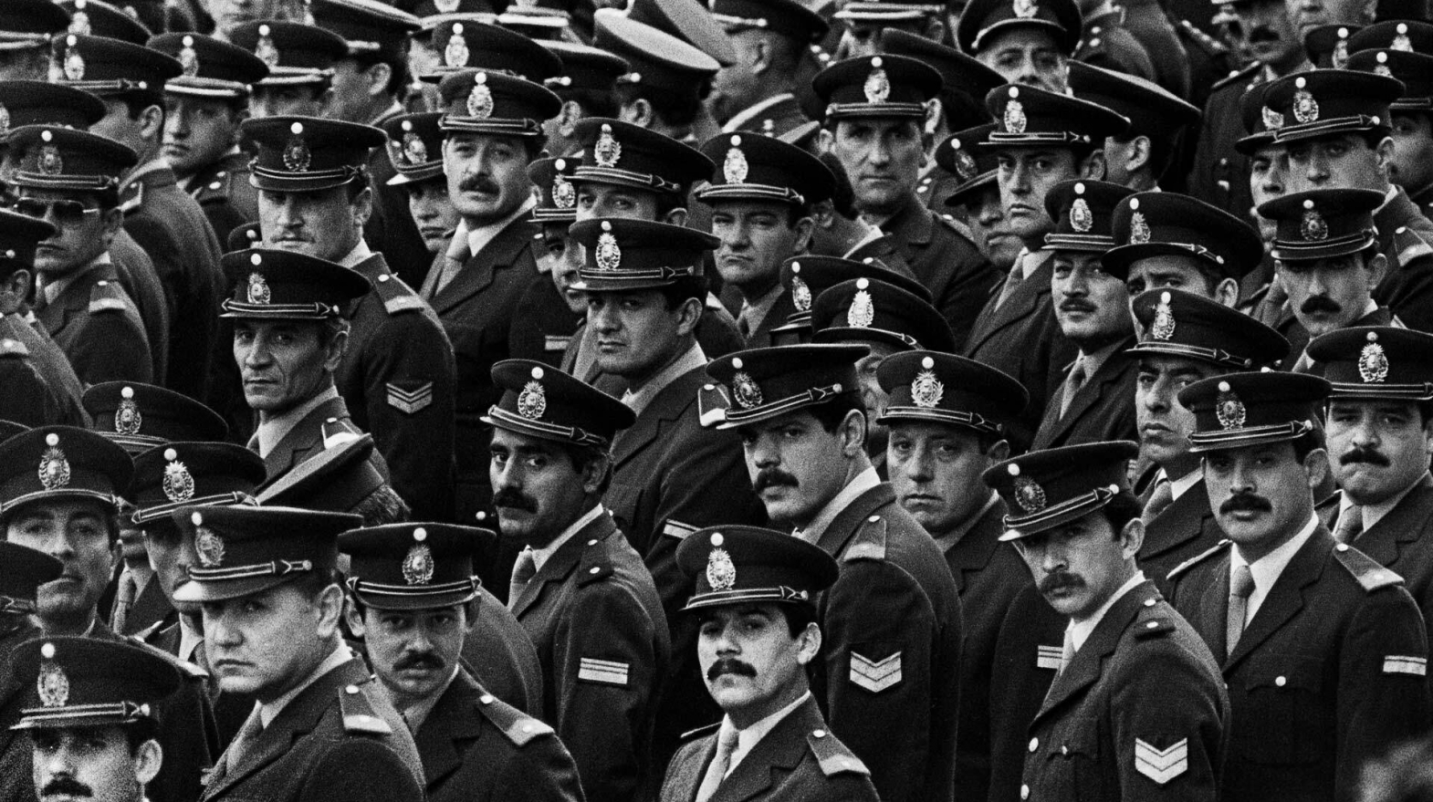 argra_longoni_portyap